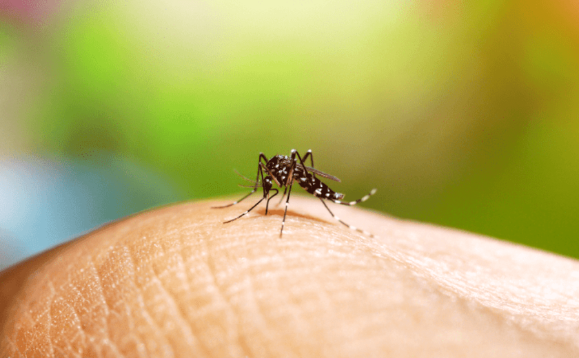 Mobilização nacional de prevenção  à dengue acontece neste sábado (14)