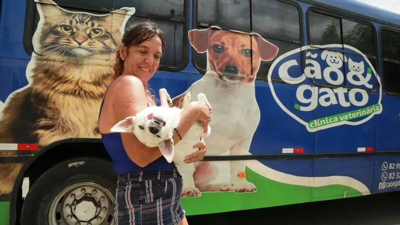 Programa Castra Pet será realizado mensalmente em Penedo