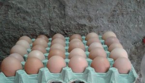 OVOS