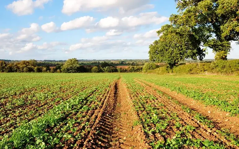 Plano Safra 2025/26: Moderfrota empresarial terá R$ 9,5 bilhões