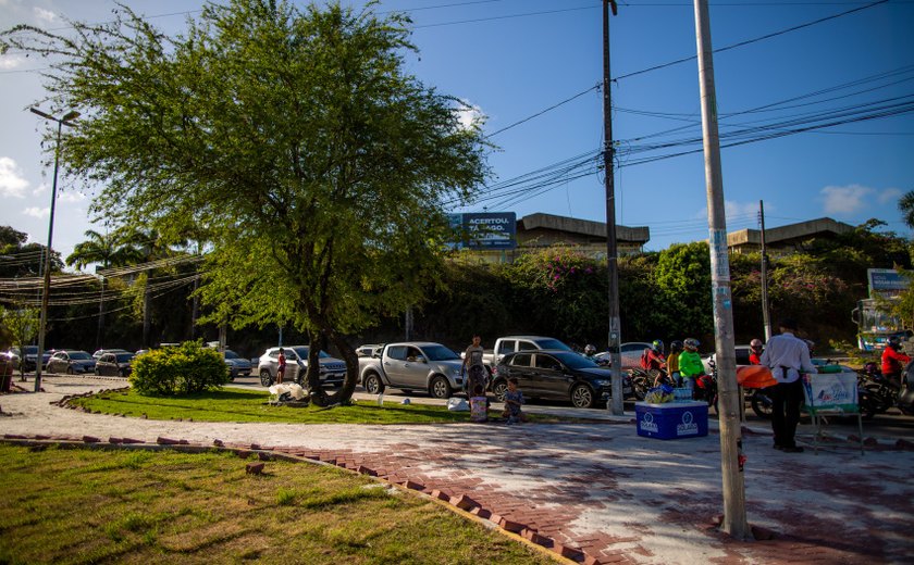 Canteiros do cruzamento da Rodoviária de Maceió ganham novo visual após revitalização