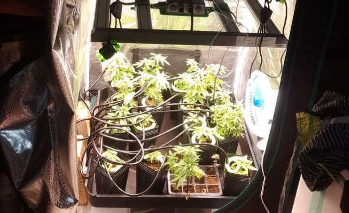 Laboratório de drogas é desmantelado pela Polícia Civil