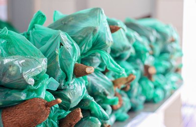 Prefeitura de Campo Alegre realizou a distribuição de mais 2.306 kits de alimentação escolar 