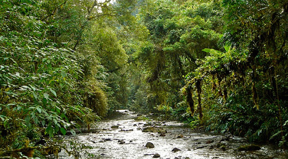desmatamento_crea-sergipe / Foto: Foto: reprodução Alese
