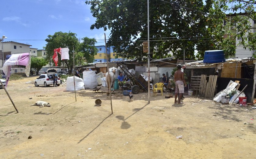 Convívio Social recebe denúncia e derruba construções irregulares no conjunto Rui Palmeira