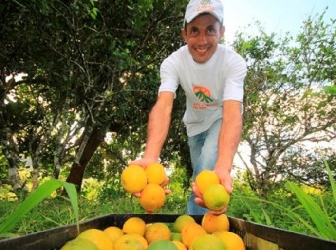 Seagri/AL promoverá primeiro seminário alagoano sobre fruticultura