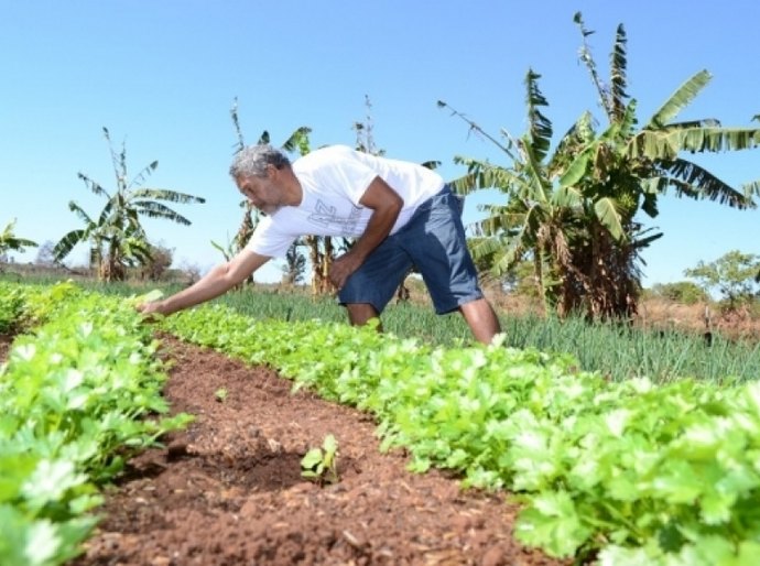 Governo vai liberar mais de R$ 2 milhões para pequenos negócios no Estado