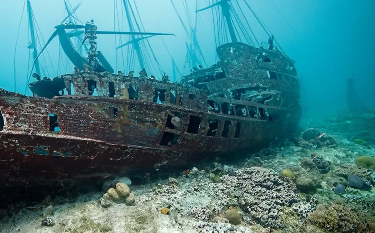 Mergulhadores encontram 100 garrafas de champanhe nos destroços de navio na costa da Suécia