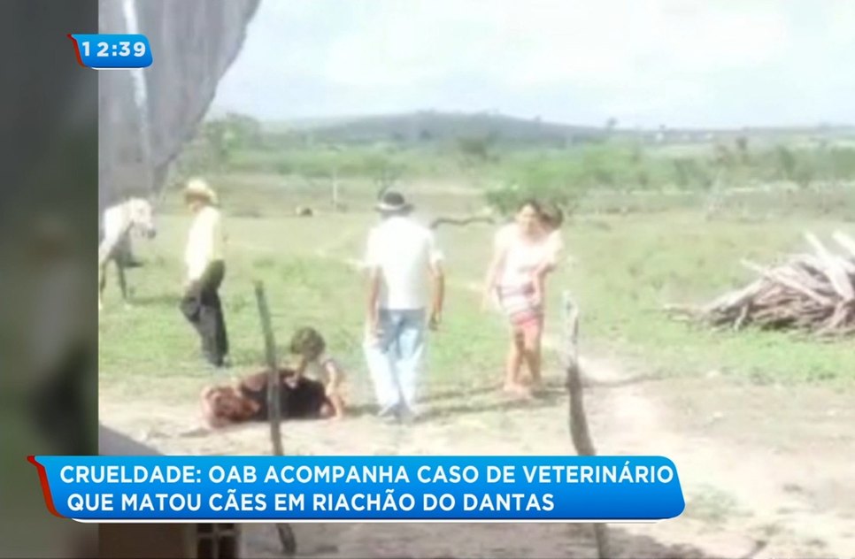 OAB cães Riachão dos Dantas