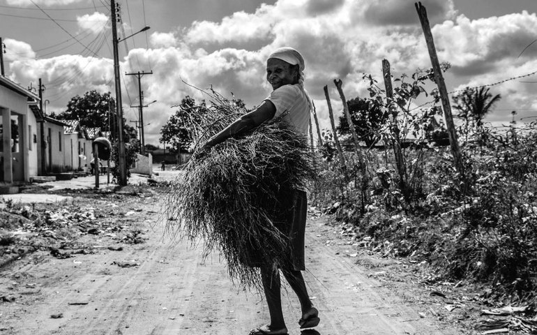 Site transforma cotidiano alagoano em acervo fotográfico e acessível