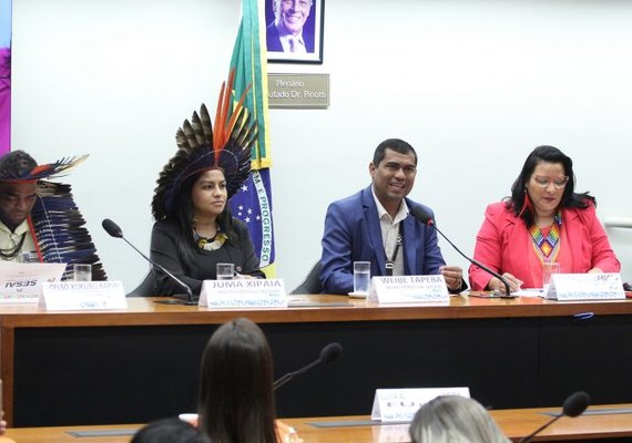 Entidades apoiam regulamentação das profissões de agente indígena de saúde e de saneamento