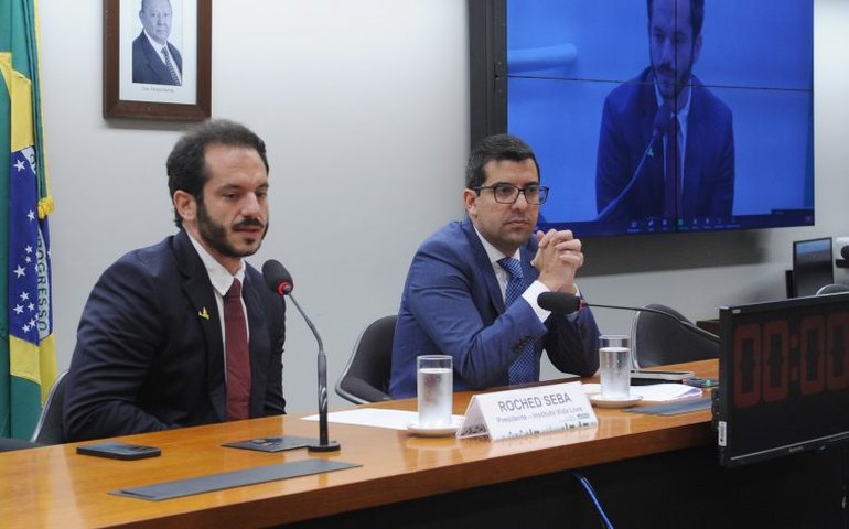 Especialistas em meio ambiente e energia buscam soluções para morte de animais na rede elétrica