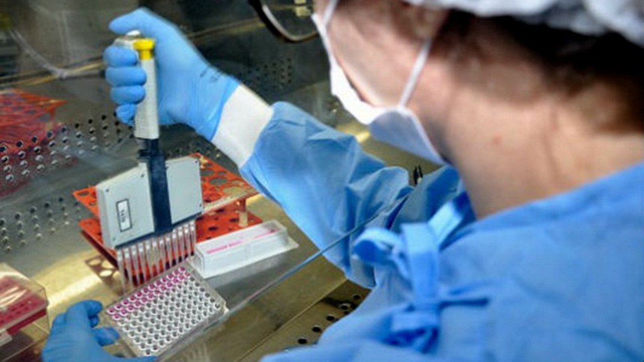 Fiocruz analisará caso suspeito de Ebola no RS; paciente testou positivo para malária
