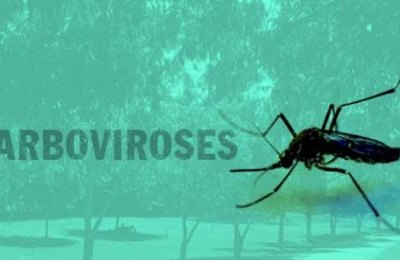 Combate às arboviroses é tema de oficina que ocorrerá na Cidade Sorriso no sábado