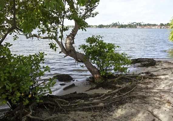 Corpo de jovem é encontrado às margens da Lagoa Mundaú em Maceió
