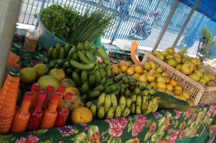 Secretaria de Agricultura promove mais uma Feira Orgânica nesta sexta-feira