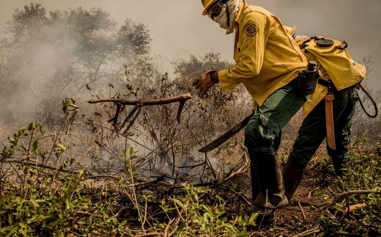 Incêndios no Pantanal já consumiram este ano mais de 15% do bioma