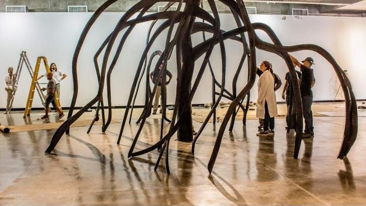 Exposição dos 100 anos de Krajcberg ganha versão online