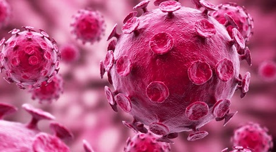 hpv_cancer_colo_utero