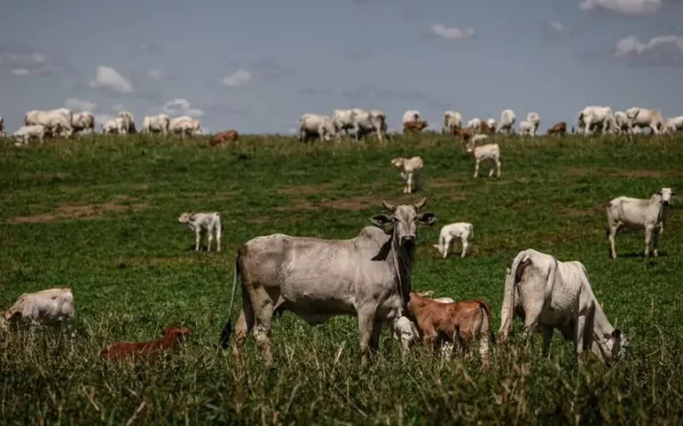 União Europeia veta carne brasileira, mas tenta abrir diálogo