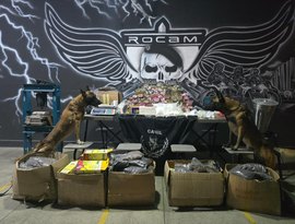 PM apreende mais de 50 quilos de drogas em ação no bairro Planalto, em Arapiraca