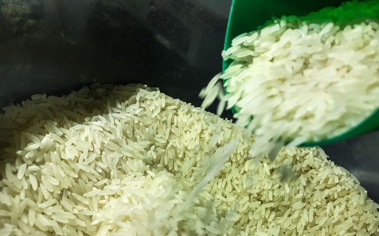 Arroz importado pelo governo deve chegar aos supermercados em 40 dias
