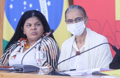Desmatamento na Amazônia cai 22,3% entre agosto de 2022 e julho de 2023
