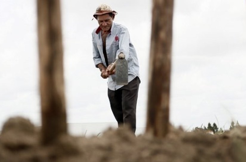 Agricultores familiares vão ganhar 540 máquinas forrageiras
