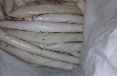 Polícia Civil encontra 38 bananas de dinamite em Secretaria da Prefeitura de Colônia de Leopoldina