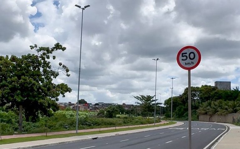 SMTT Arapiraca orienta condutores sobre cuidados com animais nas vias