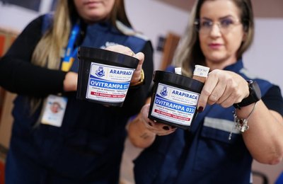 Combate à dengue: Arapiraca inicia implantação de ovitrampas em 10 bairros do município