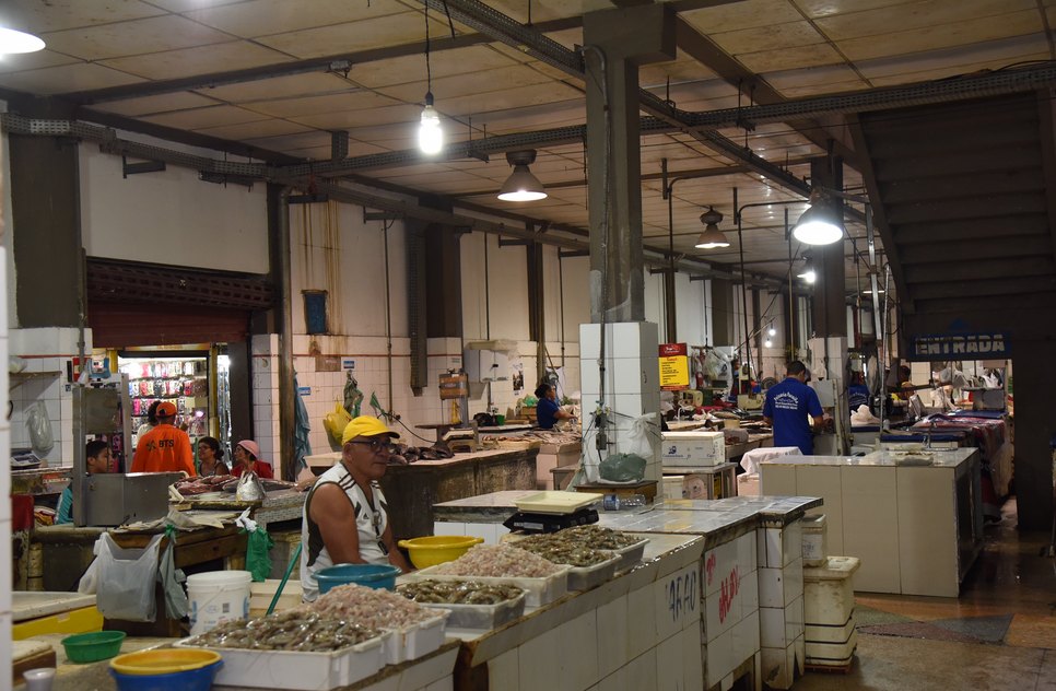 resfriamento de pescados