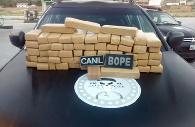 PM faz operação e apreende 50kg de maconha em Alagoas