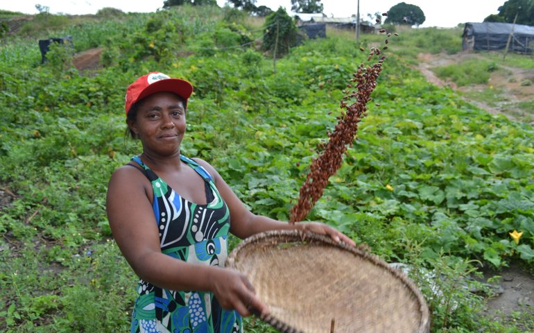 As mulheres faturam: Agricultoras transformam terras antes minadas em meio de subsistência para famílias na Colômbia