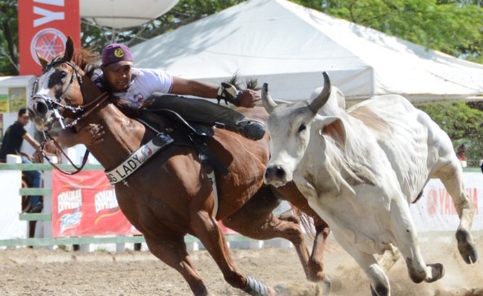 (Crédito: Divulgação)