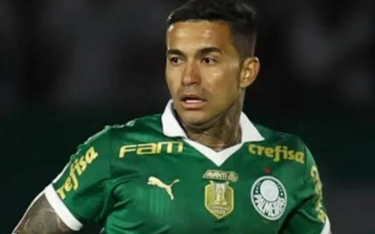 Dudu acompanha movimento contra gramado sintético após quatro anos no Allianz Parque