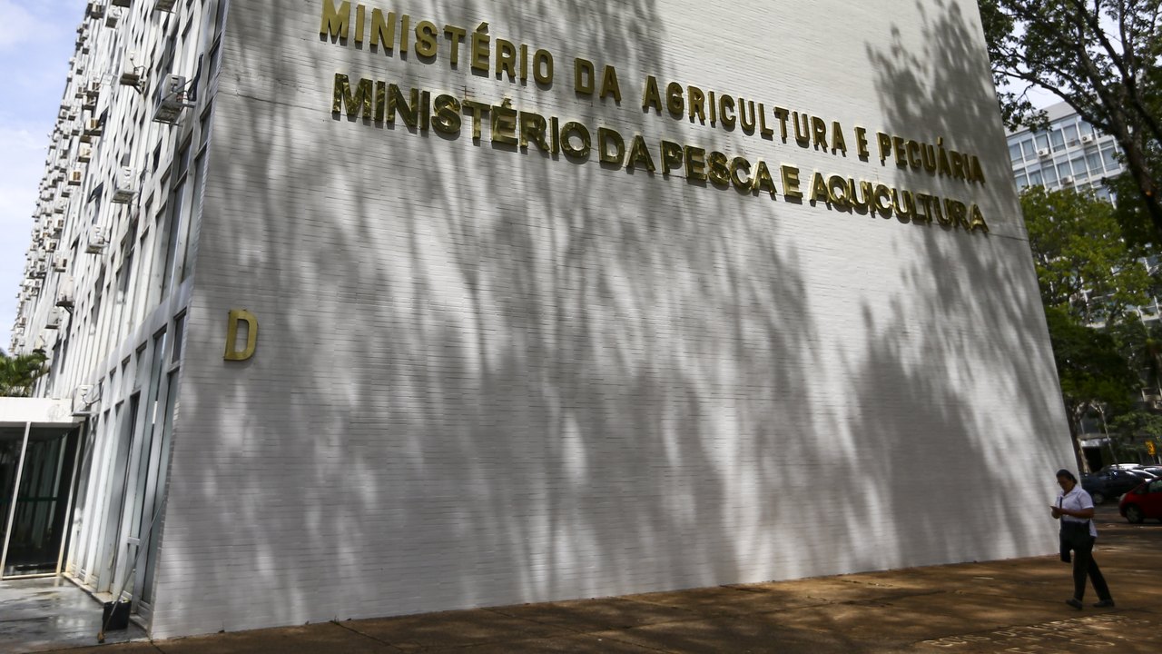 Ministério confirma foco de Doença de Newcastle em produção comercial de perus em SC