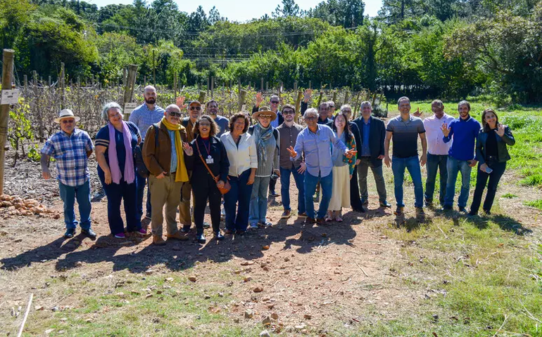 Projeto traz uvas italianas para fortalecer vinhos do Brasil