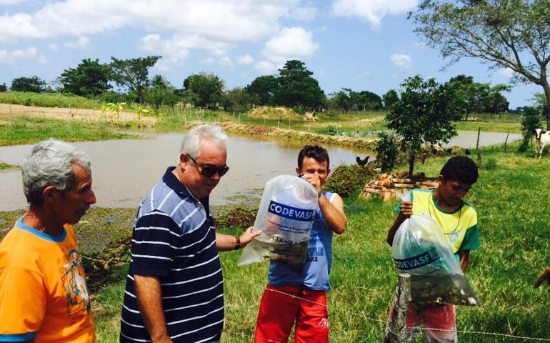 Parceria beneficia com 40 mil alevinos pequenos produtores de Penedo