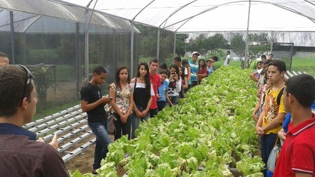 Alunos de Lagoa da Canoa conhecem técnica para cultivo de hortaliças