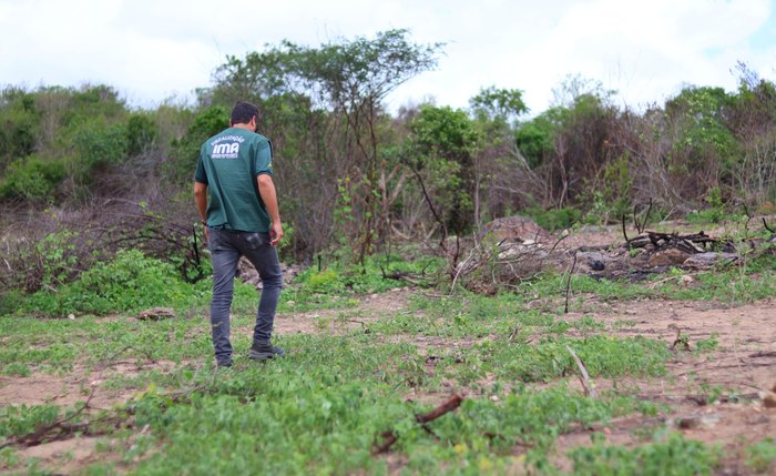 Supressão de flora da Caatinga pode agravar processo de desertificação e facilitar alagamentos no Agreste e Sertão
