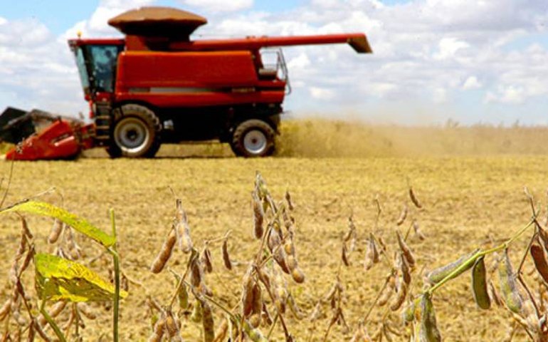 [IBGE] Em Alagoas, valor da produção agrícola alcança recorde de R$ 2,4 bilhões em 2020