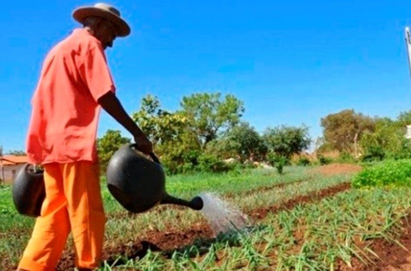 Instituto de Terras investe na regularização fundiária de 9 municípios