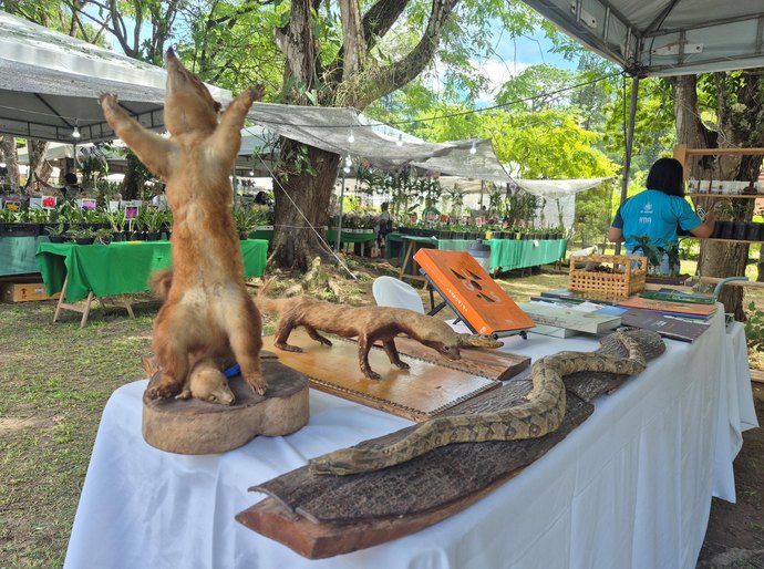 Estande do IMA/AL leva educação ambiental à Exposição de Orquídeas e Bromélias de Alagoas