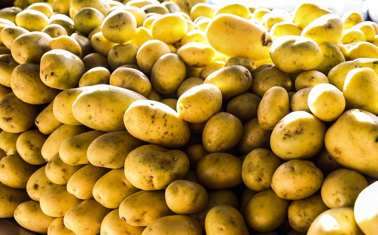 Batata, ovos e verduras reduzem pressão inflacionária em agosto em SP