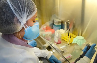 Pesquisa de vacina contra zika avança em testes com camundongos