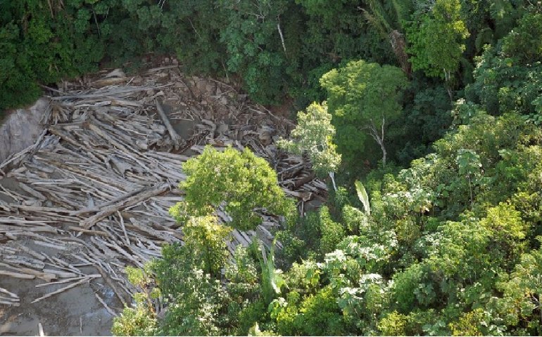 Desmatamento na Amazônia e Cerrado cresce e bate recorde em fevereiro, diz Inpe