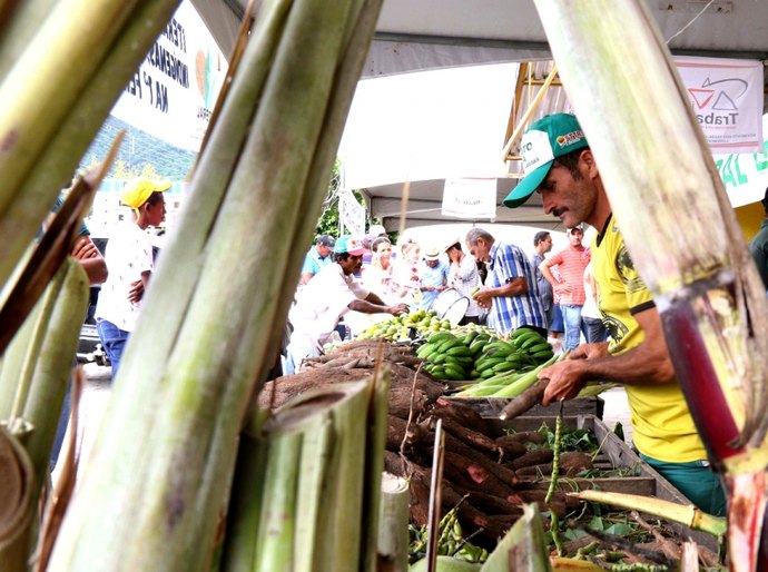 Feira dos movimentos sociais e povos tradicionais movimenta Maravilha