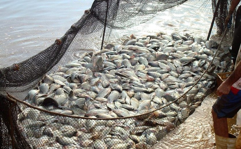 Comissão debate impactos da indústria fóssil sobre a pesca