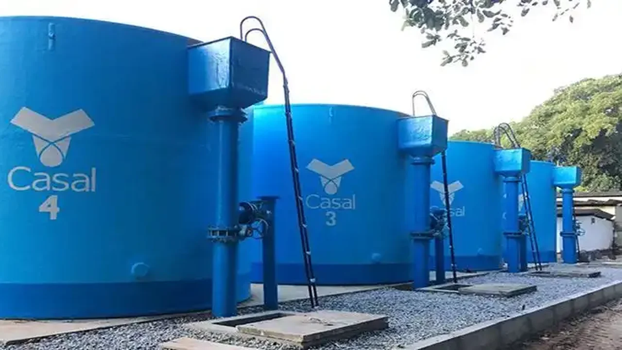 Bacia Leiteira: Casal realiza terceira migração para Mercado Livre de Energia
